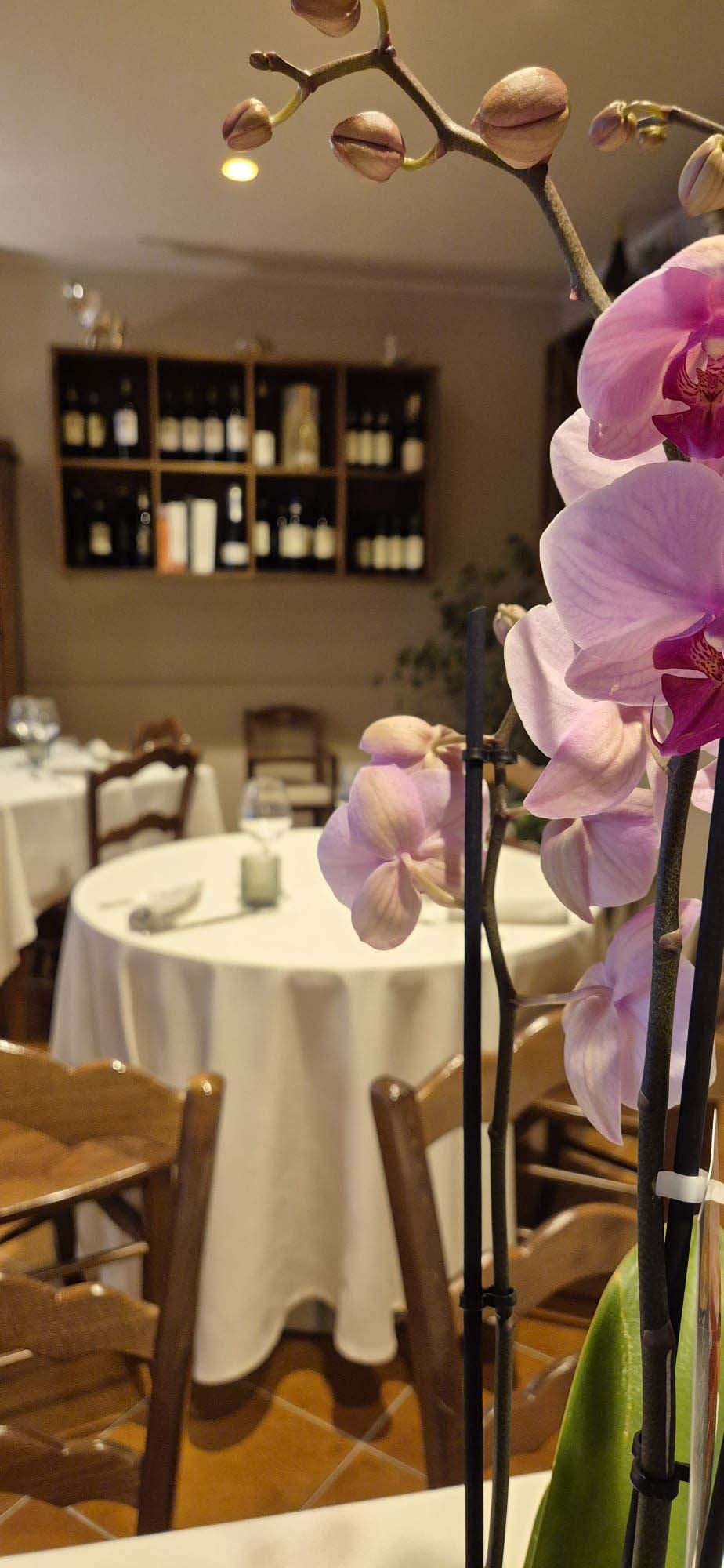Interno La locanda di Enza 22