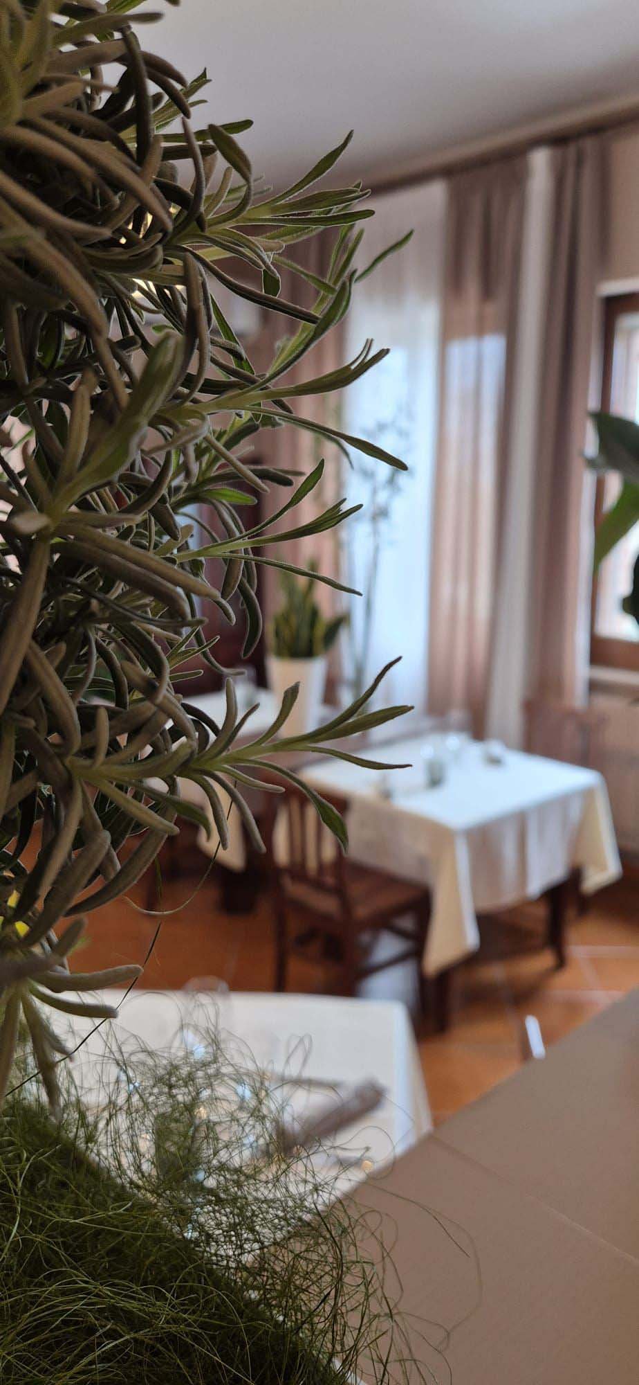 Interno La locanda di Enza 4