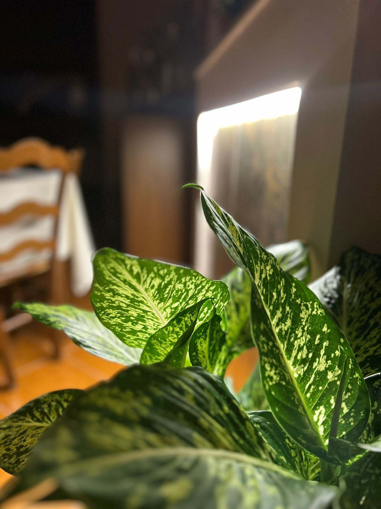 Interno La locanda di Enza 46
