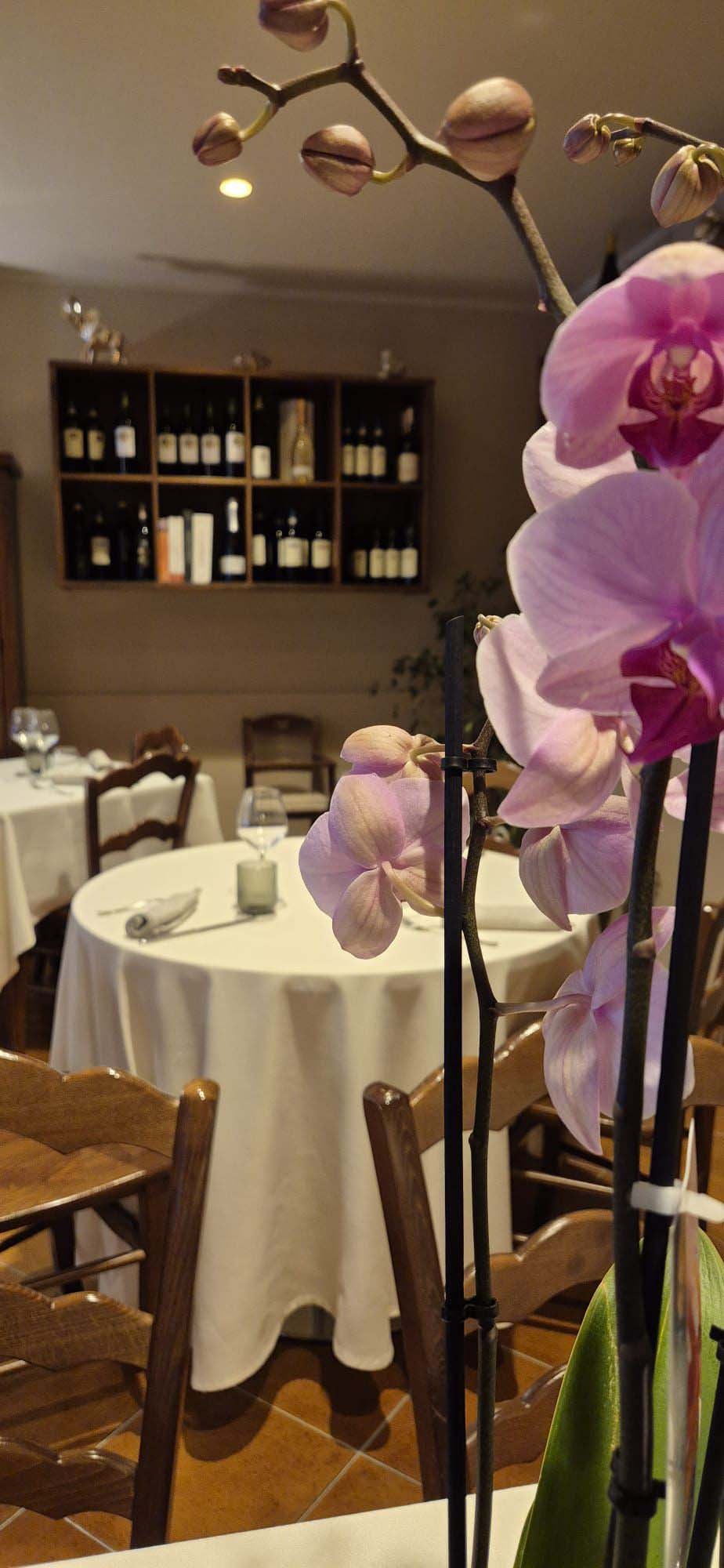 Interno La locanda di Enza 6