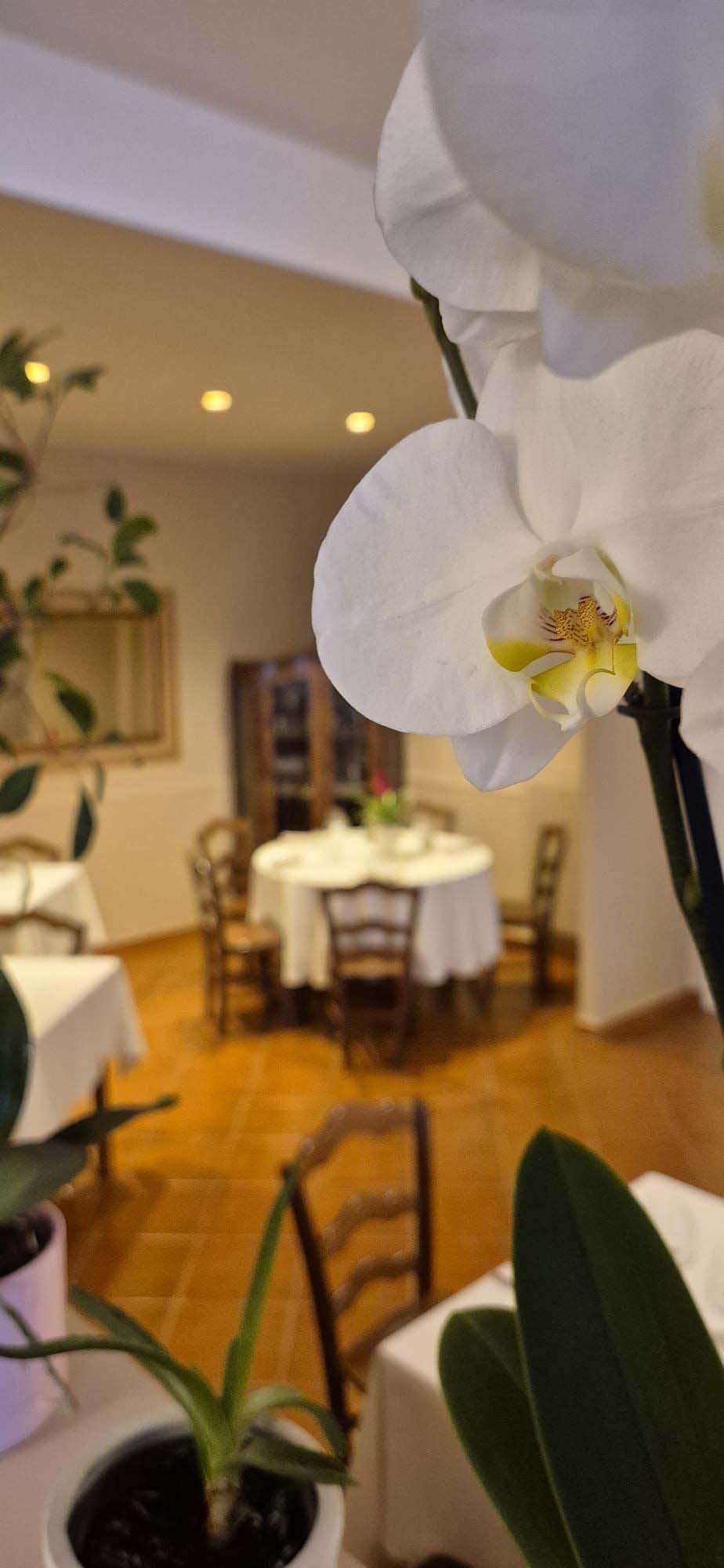 Interno La locanda di Enza 9